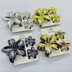 BROCHES X 12 CARTONES