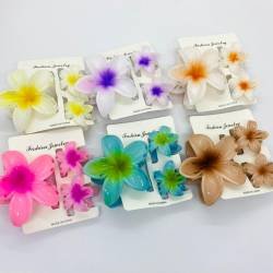 BROCHES X 12 CARTONES