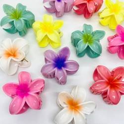 BROCHE HAWAIANO X 12
