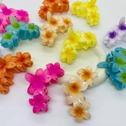 BROCHES X 12
