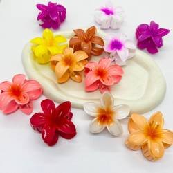 BROCHE HAWAIANO X 12