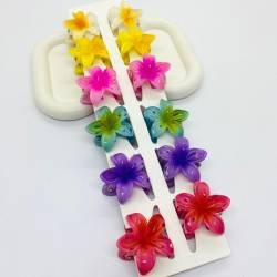 BROCHE HAWAIANO X 12