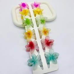 BROCHE HAWAIANO X 12