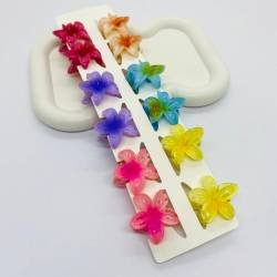 BROCHES X 12