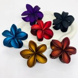 BROCHE HAWAIANO X 12