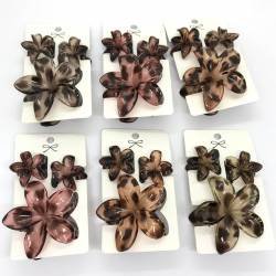 BROCHE X 12 CARTONES