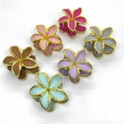 BROCHE HAWAIANO X 12