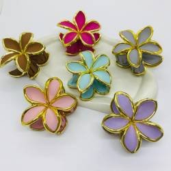 BROCHE HAWAIANO X 12