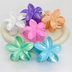 BROCHES HAWAIANOS X12