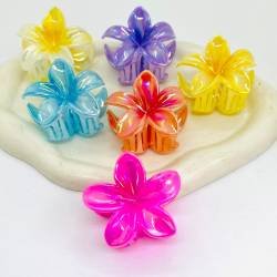 BROCHES HAWAIANOS MEDIANO X12