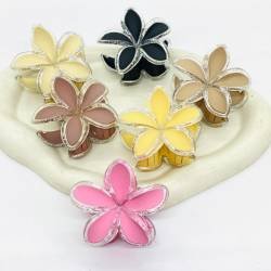 BROCHES HAWAIANOS X12